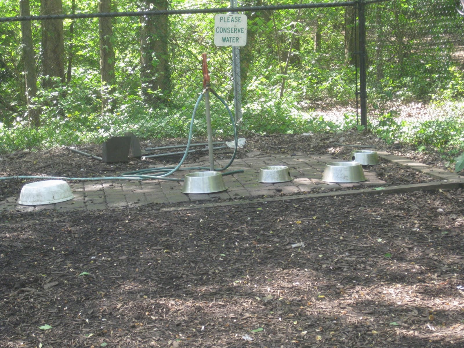 Water Station Dog Park Water Station